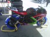 cell pics 2012 079.jpg