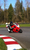 250 at GMR.png